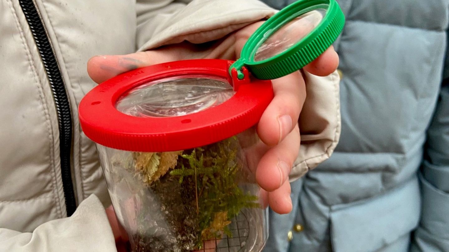 Waldbesuch der 3. Klassen