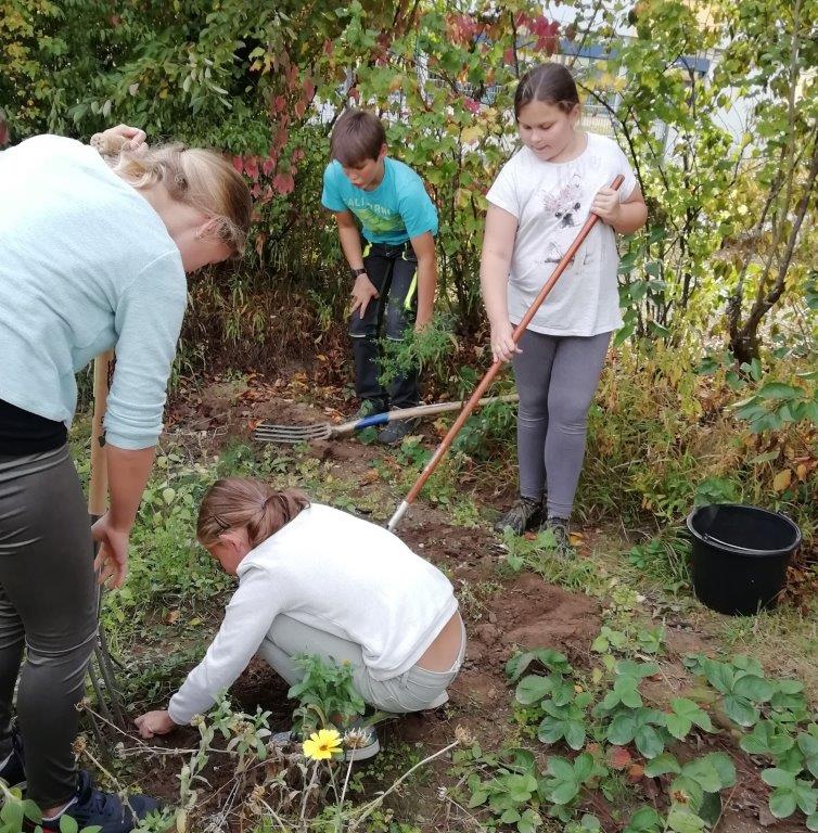 Unkrautbekämpfung im Erdbeerbeet Unkrautbekämpfung im Erdbeerbeet