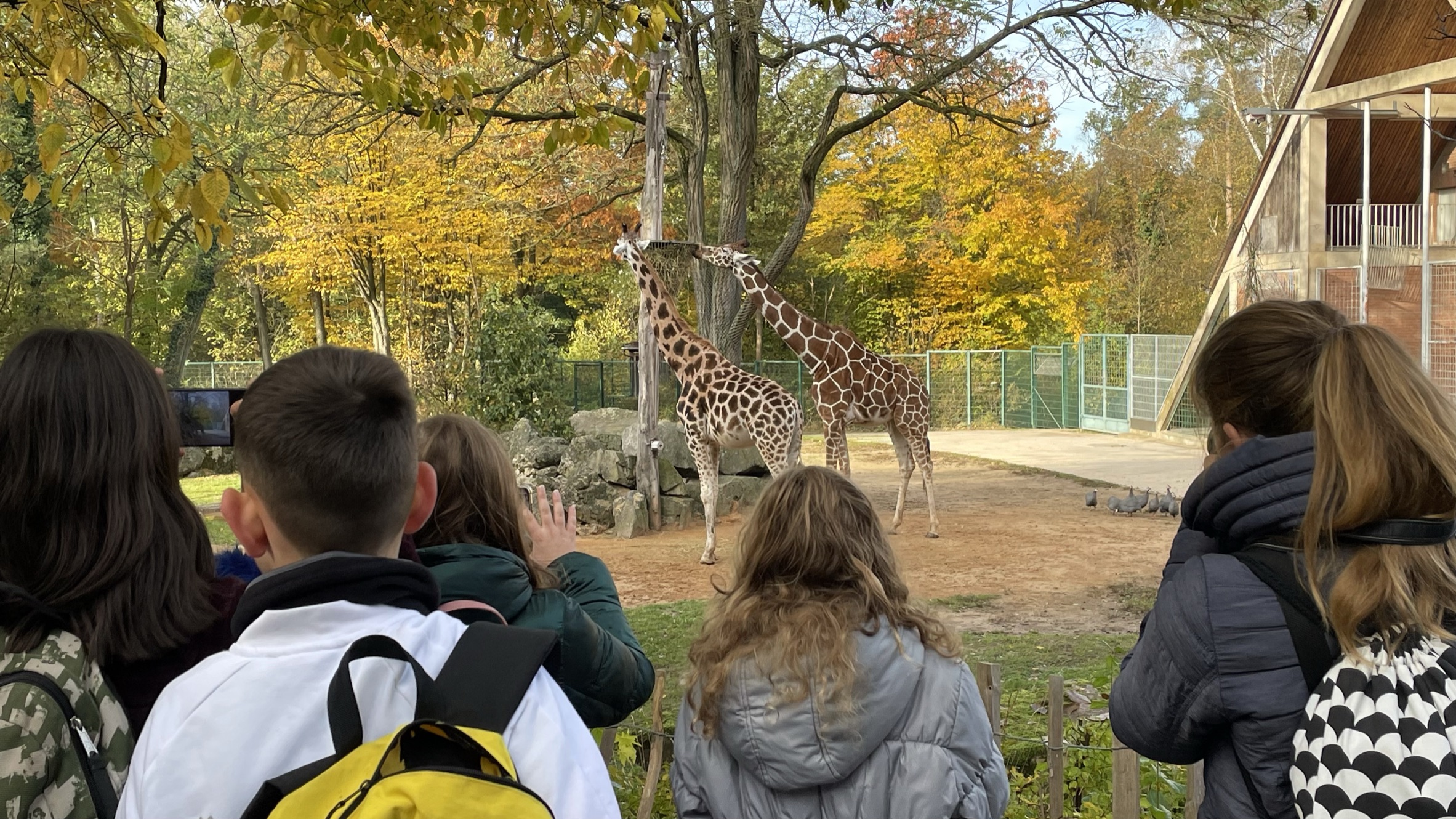 Besuch der 4. und 5. Klassen im Tiergarten Nürnberg